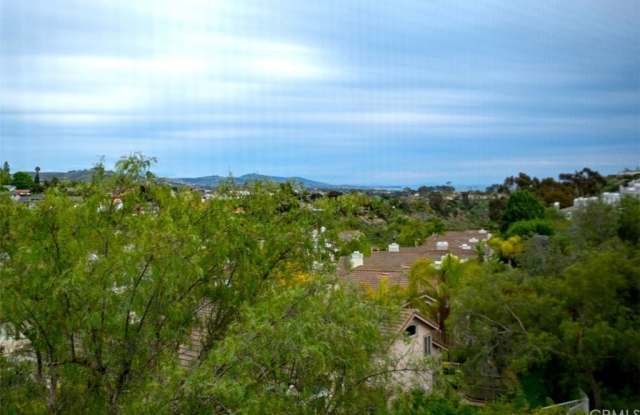 33042 Ocean Ridge - 33042 Ocean Ridge, Dana Point, CA 92629
