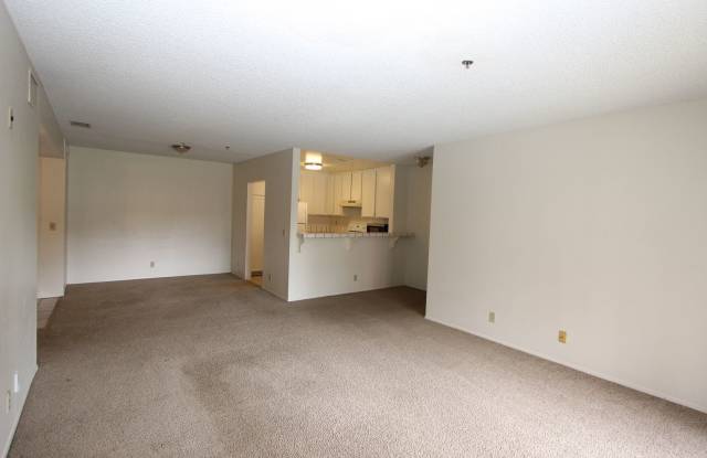 Large 2 bedroom 2 bathroom condo available NOW photos photos