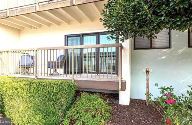 13908 N OCEAN Road Gallery 1
