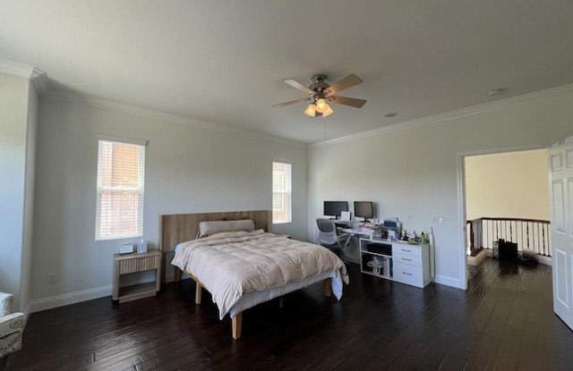 2546 Hibiscus Street photos photos