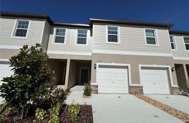10149 TRUMPET HONEYSUCKLE WAY photos photos