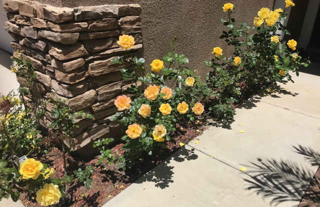 7248 Canyon Glen Ct Gallery 3