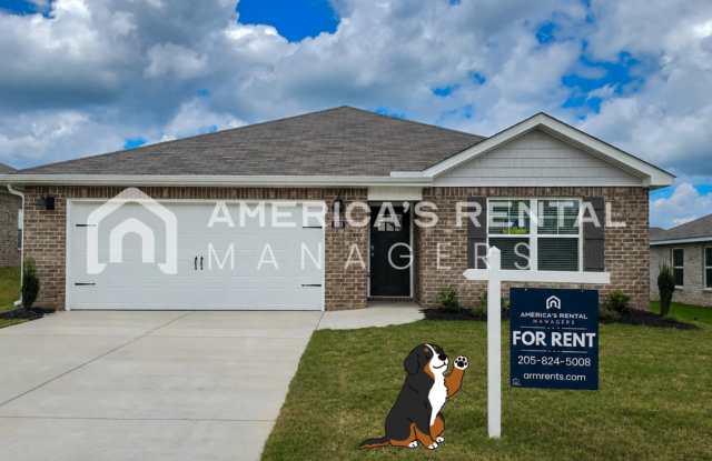 New Construction Home for Rent - Available NOW! photos photos New Construction Home for Rent - Available NOW! photos photos