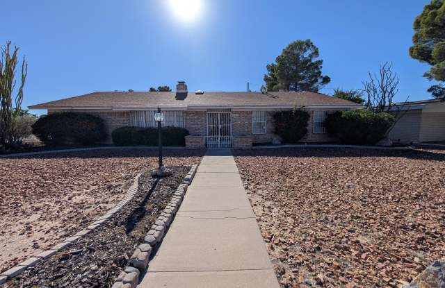 17001 Carson Drive - 17001 Carson Drive, Horizon City, TX 79928