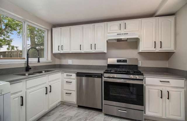 956 Winona Court - 956 Winona Court, Denver, CO 80204