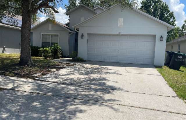 4231 NORTHERN DANCER WAY - 4231 Northern Dancer Way, Orange County, FL 32826