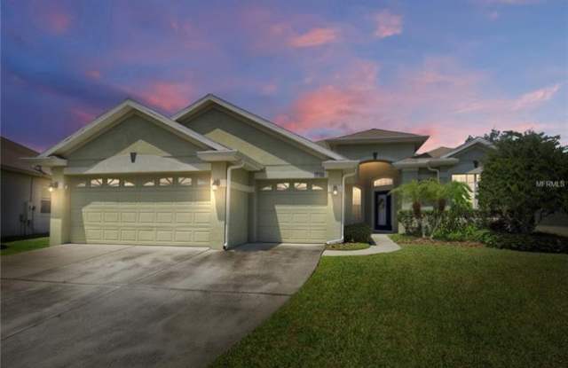 8463 Dover View Lane - 8463 Dover View Lane, Orlando, FL 32829