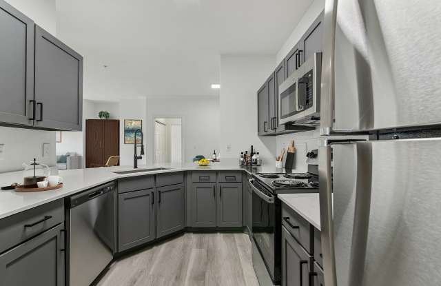 Avana North Point Gallery 2