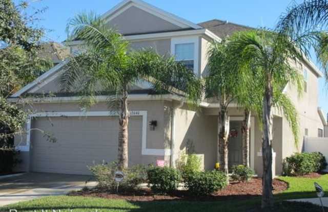 12640 Belcroft Dr. - 12640 Belcroft Drive, Riverview, FL 33579