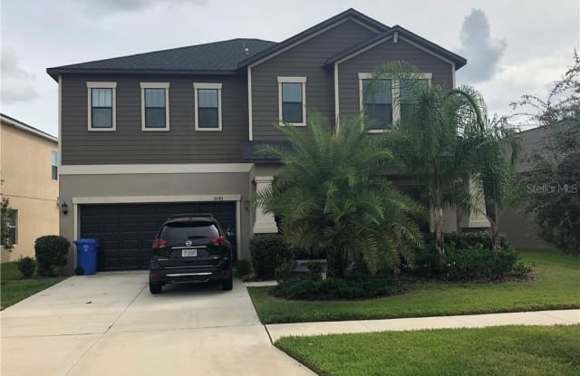 11043 LITTLE BLUE HERON DRIVE - 11043 Little Blue Heron Drive, Riverview, FL 33579