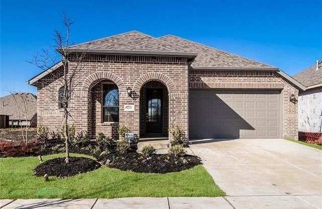 4119 Starlight Creek Lane - 4119 Starlight Creek Ln, Collin County, TX 75009