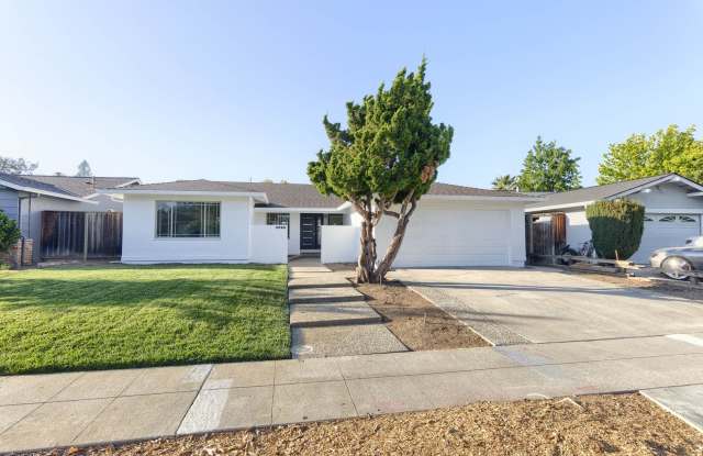 Newly Renovated 4-Bedroom 2.5-Bath South Willow Glen Home photos photos