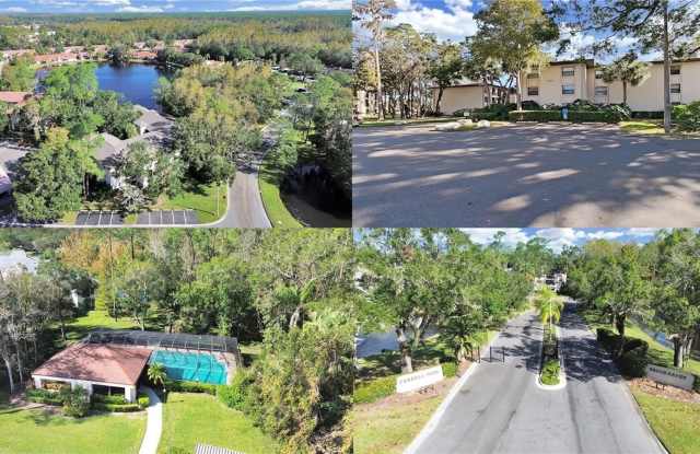 3399 MERMOOR DRIVE - 3399 Mermoor Drive, East Lake, FL 34685