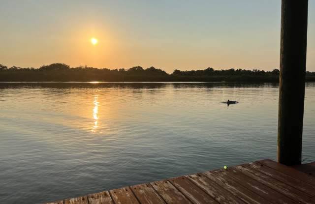 Sunrises with the Dolphins! Large Spacious 3bed/ 3 bath home located on Intracoastal with Kayaks and dock on the water photos photos