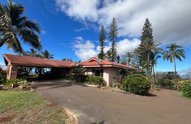 Private Omaopio Home photos photos