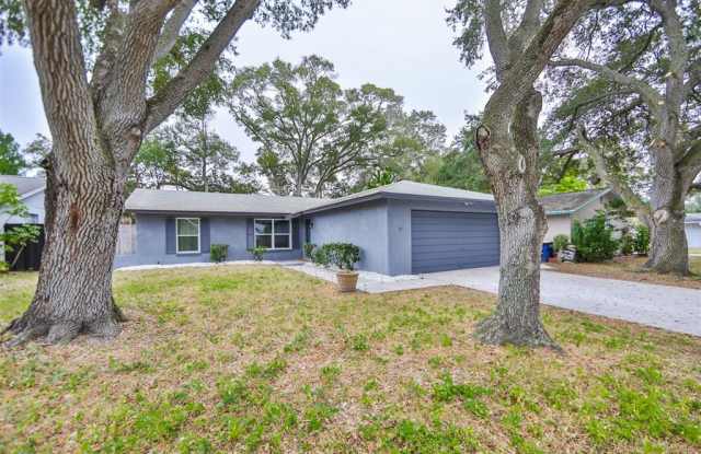3024 SAINT CROIX DRIVE - 3024 St Croix Drive, Clearwater, FL 33759