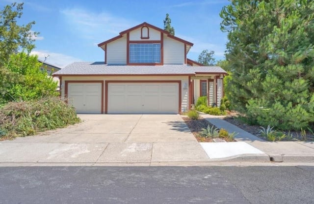 2915 Sunflower DR - 2915 Sunflower Drive, Antioch, CA 94531