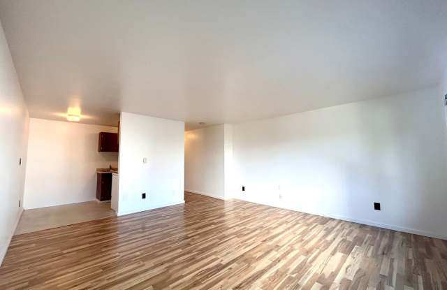 Escolier photos photos