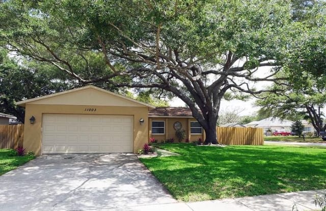 11003 Maxton Way - 11003 Maxton Way N, Pinellas Park, FL 33782