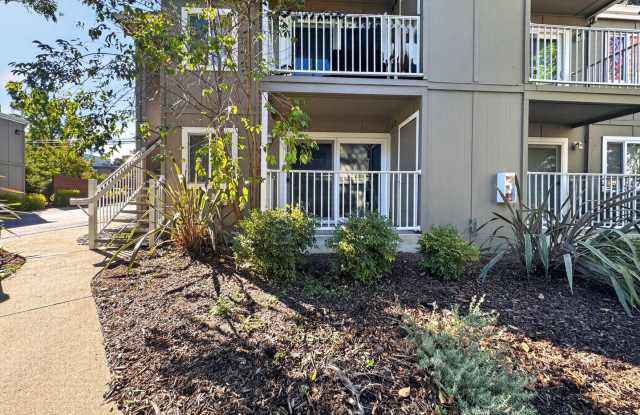 Gorgeous Lower End Unit with Inside Laundry Available Now! Gallery 4