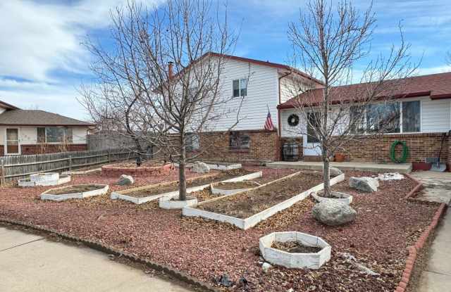 Cute 3 Bedroom house in Windsor photos photos