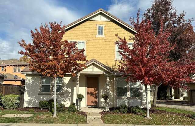 Patterson Stunner photos photos