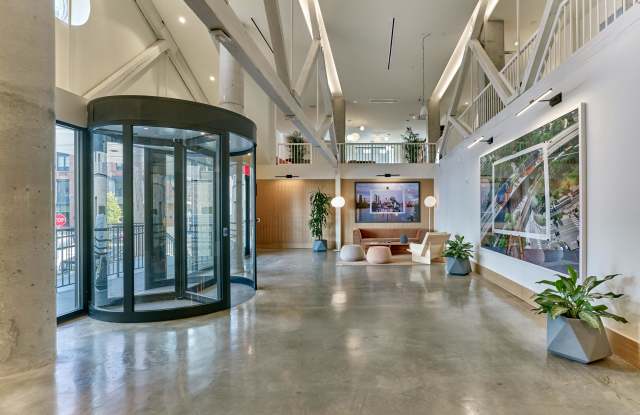 Starling Gallery 2