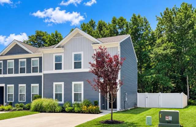 198 CURRANT Circle Gallery 2