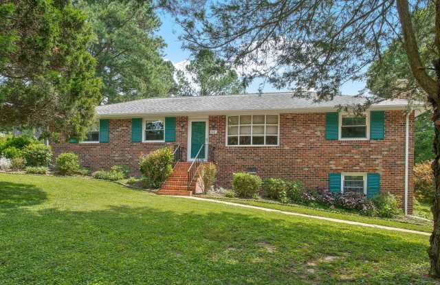 Pristine Brick Rancher in Sandston on an acre - 3803 East Iroquois Circle, Henrico County, VA 23150