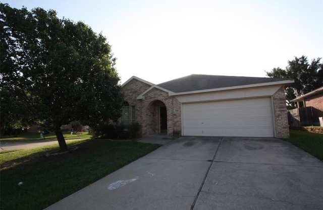 3901 Big Thicket Drive - 3901 Big Thicket Drive, Fort Worth, TX 76244