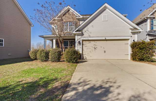 8810 Douglas Palace Court - 8810 Douglas Palace Court, Charlotte, NC 28278