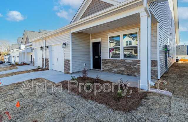 371 Highline Trl - 371 Highline Trail, Greenville County, SC 29607
