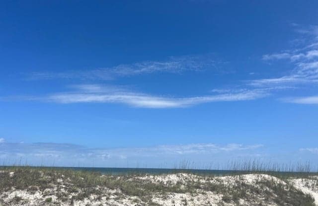 2900 Ocean Dr S - 2900 Ocean Drive South, Jacksonville Beach, FL 32250
