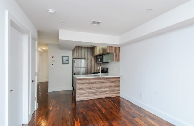 838 Halsey Street - 838 Halsey St, Brooklyn, NY 11233