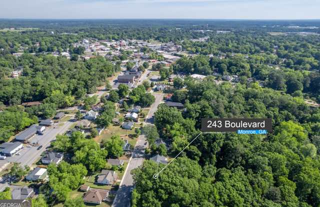 243 Boulevard Gallery 2