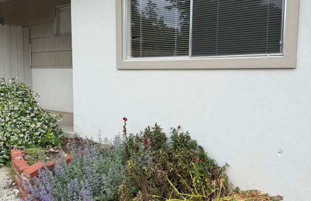 485 Finley St #3 · Auburn, CA 95603 1 Bed / 1 Bath · 600 sq ft · $1,250/mo photos photos