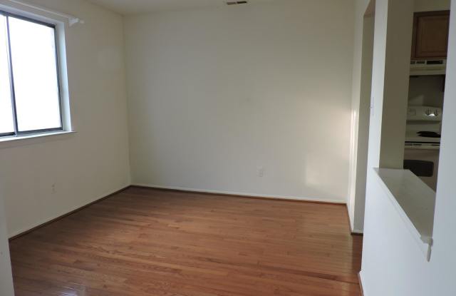 1102 LISADALE CIRCLE Gallery 4