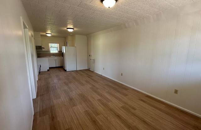 COMING SOON -- 2-bedroom, 1 bathroom Apartment Available in Rayne! - 709 East Lessley Street, Rayne, LA 70578