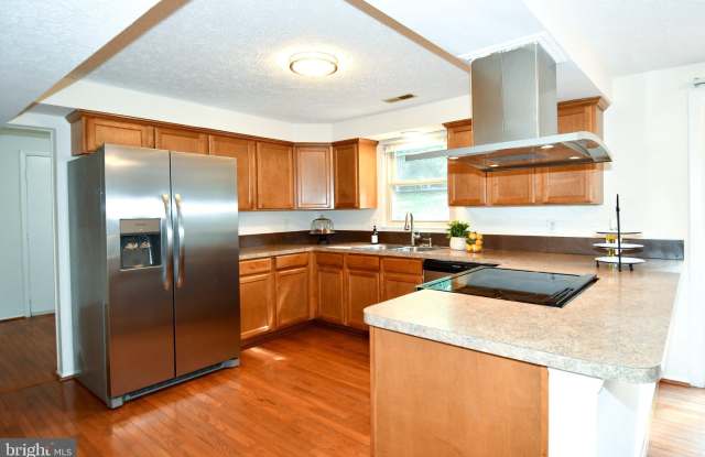 13985 CABELLS MILL Drive Gallery 4