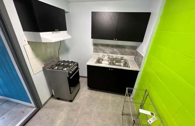 269 1/2 Ceylon photos photos