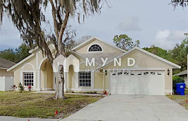 4985 Eagle Cove North Drive - 4985 Eagle Cove North Drive, East Lake, FL 34685 4985 Eagle Cove North Drive - 4985 Eagle Cove North Drive, East Lake, FL 34685
