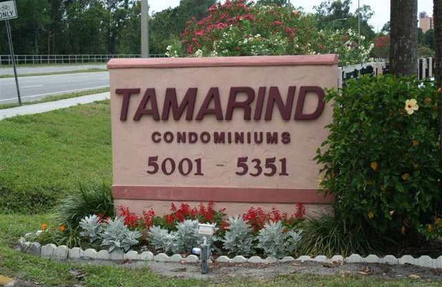 Tamarind - Renovated 2 Bedroom 2 Bath Condominium photos photos