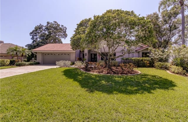 2416 HUNTINGTON BOULEVARD - 2416 Huntington Boulevard, Safety Harbor, FL 34695