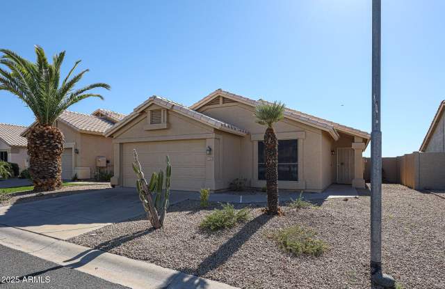11553 W KING SNAKE Court photos photos