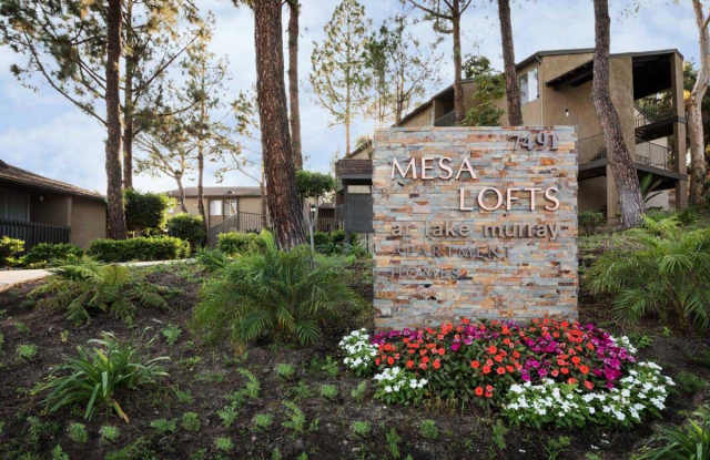 Elán Mesa Lofts photos photos