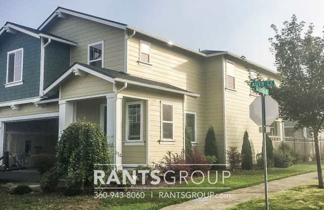 Spacious and bright 4 bd/ 2.5 bath home in The Preserve available mid-April! photos photos