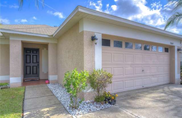30847 BRIDGEGATE Drive - 30847 Bridgegate Drive, Wesley Chapel, FL 33545 30847 BRIDGEGATE Drive - 30847 Bridgegate Drive, Wesley Chapel, FL 33545