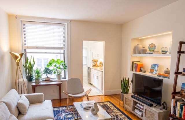 Cozy modern unit near Cleveland Circle available as early as July 1st! photos photos Cozy modern unit near Cleveland Circle available as early as July 1st! photos photos