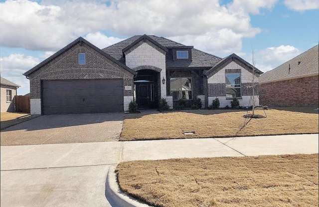 Bright  Beautiful Living in the Heart of Melissa! photos photos