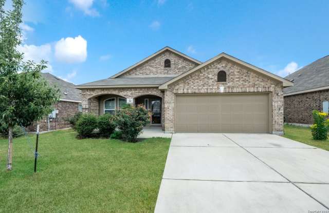 368 AMARYLLIS photos photos